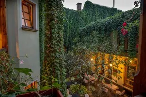 Villa Petra - Image 3