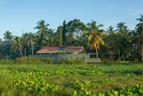 Budtt Farm - Image 3