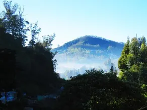 Mist Inn - Image 5