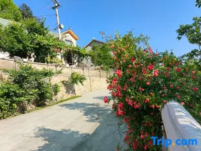 Bzhouquwujiangzaxiyuanmingxu - Image 4