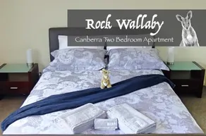 Rock Wallaby - Image 4