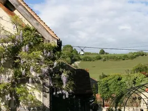 The Cart Shed - Image 4