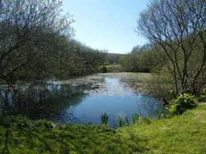 sweetwater Farm - Image 5
