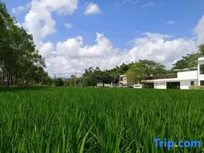 Hakka Hostel - Image 2