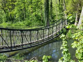 ranquil Holiday Home in Bronckhorst near Forest" - Image 3