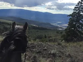 YD Guest Ranch - Image 3