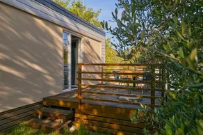 Mungos babino Polje - Image 4