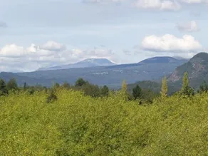 Complejo Buenavista - Image 3
