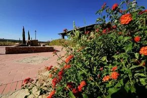 Heritage Holiday Home in Suvereto With Swimming Pool - Image 3