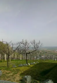 Kellerstockl Kamper - Image 4