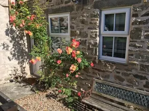 Holmlea - Image 3