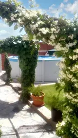 Holiday Home Calle Samboal - Image 4
