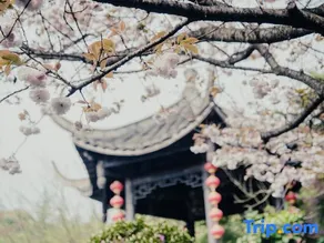 Fengxiangyuan Holiday Hotel - Image 3
