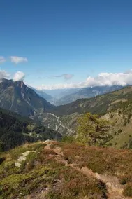 Chalet Panorama - Image 5