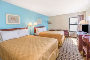 Super 8 by Wyndham Knoxville Downtown Area - Image 4