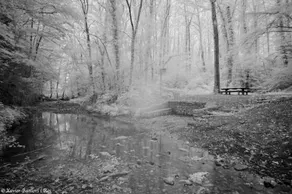 Fonda Finet - Image 3