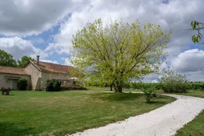 Les Vignes - Image 4