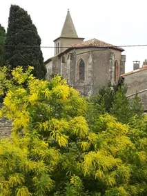 La Vigne Des Heures Claires - Image 2
