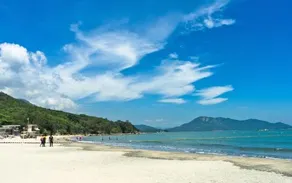 The Cove Hostel - Tong Fuk Octopus - Image 2