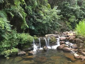 Binoya Tea Estate Bungalow - Image 3