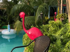 Calypso Inn - Image 3