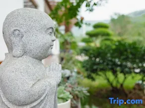 Yinxing Guli Hotel - Image 5
