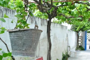 Residenza Del Sole Mare - Image 5