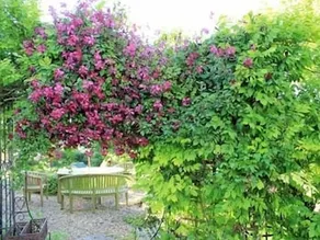 Beltane Bed & Breakfast - Image 4