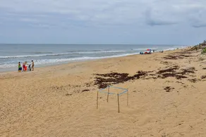 Beachfront Chadham by the Sea With Riverviews Quiet Car free Beach Location Ch419 - Image 4