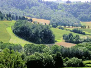 Farmhouse in large garden with private pool on the hills of Pisa - Image 2