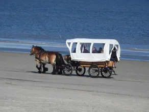 De Seekobb beachgoers - Image 5