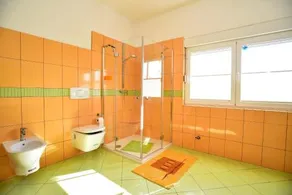 Ankin Dvor - Image 5
