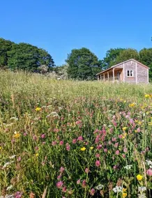Raleigh Lodge high quality lodge in secluded meadow - Image 4
