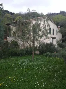 To Lagadi Tou Karava - Image 5