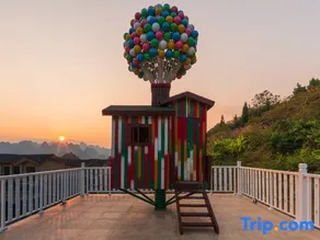 Zhimo Homestay (Wanfenglin Peak Forest Flower View Branch) - Image 2