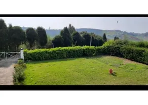 Casa Brio - Image 4