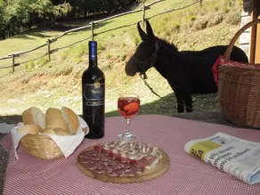 Agriturismo Agrimon - Image 2