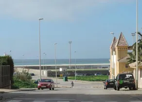 Araca - Image 4