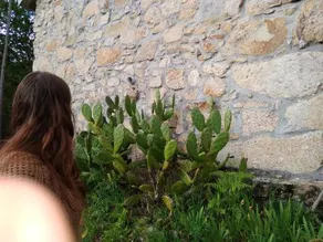 Holiday home Camino do Arieiro - Image 4