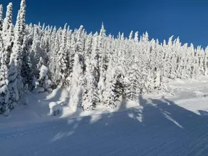 Le Chalet Du Vali - Image 4