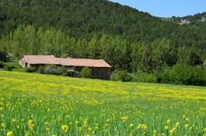 Casa Ramiro - Image 2