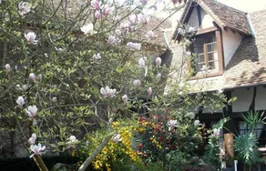 L'Auberge Du Faisan Doré - Image 4