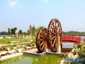 Lichen Farm - Image 5
