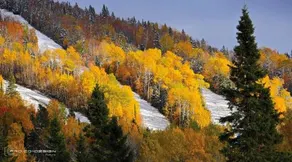 Le Vanilee - Les Chalets Spa Canada - Image 3