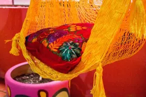 Hotel Frida Khalo - Image 2