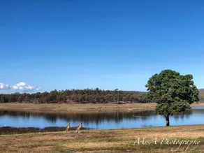 Yallakool Caravan Park - Image 2