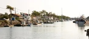 Camping Signol - Image 4