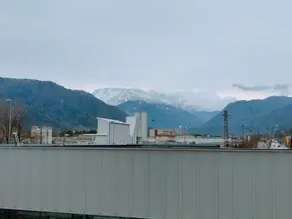 La Rosa - Image 2