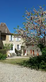 Le Petit Carpia - Image 5