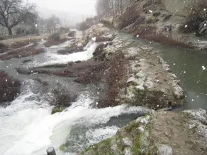 Refugio del Segura - Image 4